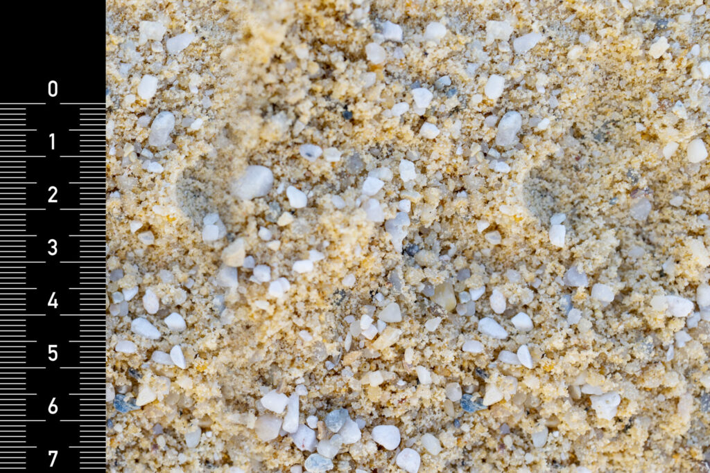 Quarz-Estrichsand 0/6